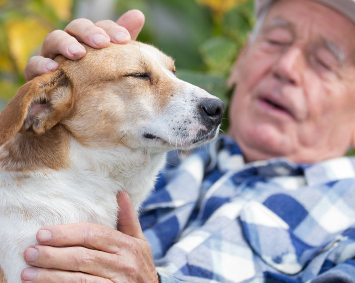 A Four Legged Antidote to Loneliness	